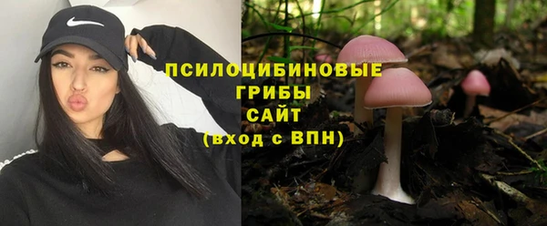 тгк Богданович