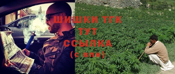 стафф Богородицк