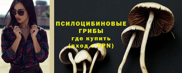 тгк Богданович