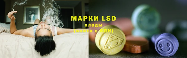 тгк Богданович