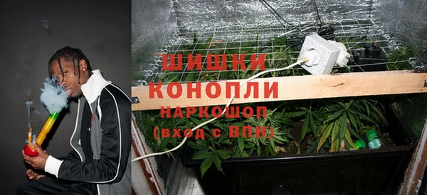 тгк Богданович
