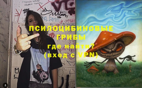 соль курить ск Богородск