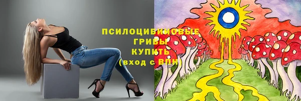 тгк Богданович