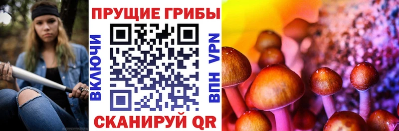 Галлюциногенные грибы мухоморы  Дубна 