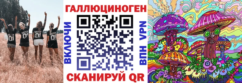 Галлюциногенные грибы Psilocybine cubensis Дубна